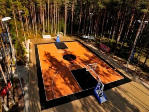 Outdoor basketball court with lights surrounded by trees in Estonia